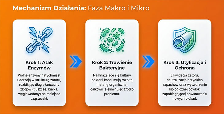 Bio Doctor, mechanizm działania aktywatora bakteryjnego do szamb i przydomowych oczyszczalni